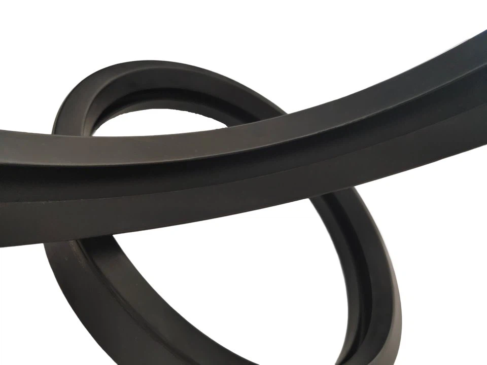 Combined sealing ring gasket